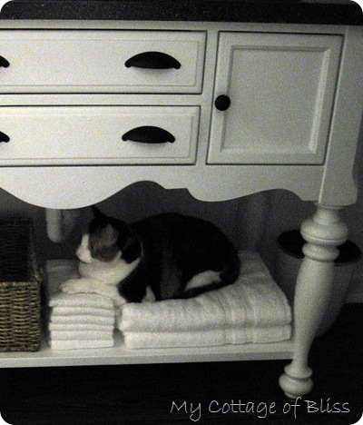 My Cottage Of Bliss From Ugly Duckling To Beautiful Swan